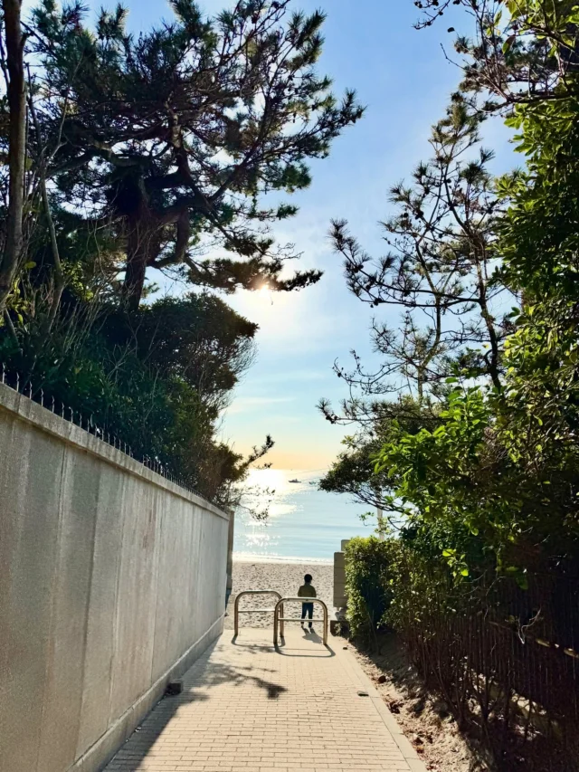 海のまち・南葉山エリア佐島で
貸切の宿 梁（RYO） をオープンします。

宿からは、一階も二階も海が目の前。
窓を開けると、潮の香りと波の音。

漁港まで徒歩30秒。
地元の魚を買って、宿で料理する。

そんな「暮らすように泊まる」滞在を
お届けできる宿を目指しています。

リフォームはほぼ完了し、
2026年3月オープン予定です。

これから少しずつ、
宿の様子と佐島の日常を発信していきます。

⸻

Opening soon in Sajima, Minami-Hayama.
Private seaside house RYO.

Ocean view from both the first and second floor.
Open the window, feel the sea breeze and waves.

30 seconds walk to the fishing port.
Buy fresh local fish and cook in your own kitchen.

A place to stay like you live.

Renovation is almost complete.
Opening in March 2026.

We will be sharing updates and local life here.

#佐島
#南葉山
#貸切宿
#一棟貸し
#海が見える宿
#オーシャンビュー
#漁港のある町
#海辺の暮らし
#宿オープン予定
#privatestay
#seasidehouse
#entirehouse
#minamihayama
