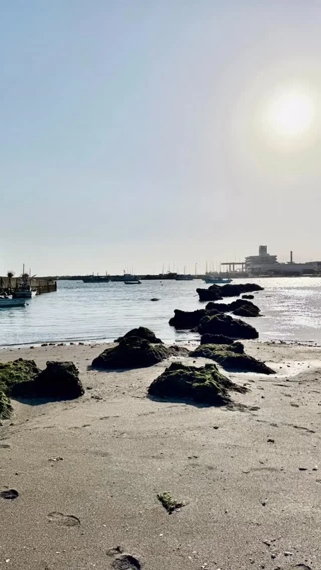 海まで徒歩30秒。
南葉山・佐島の一棟貸し宿。

梁 – RYO

1階も2階もオーシャンビュー。
家族や仲間とゆっくり過ごせます。

詳しくはプロフィールのリンクから。

#南葉山
#佐島
#横須賀
#湘南旅行
#神奈川旅行
#貸別荘
#一棟貸し
#海の見える宿
#オーシャンビュー
#ryo
#minamihayama
#sajima
#japanstay